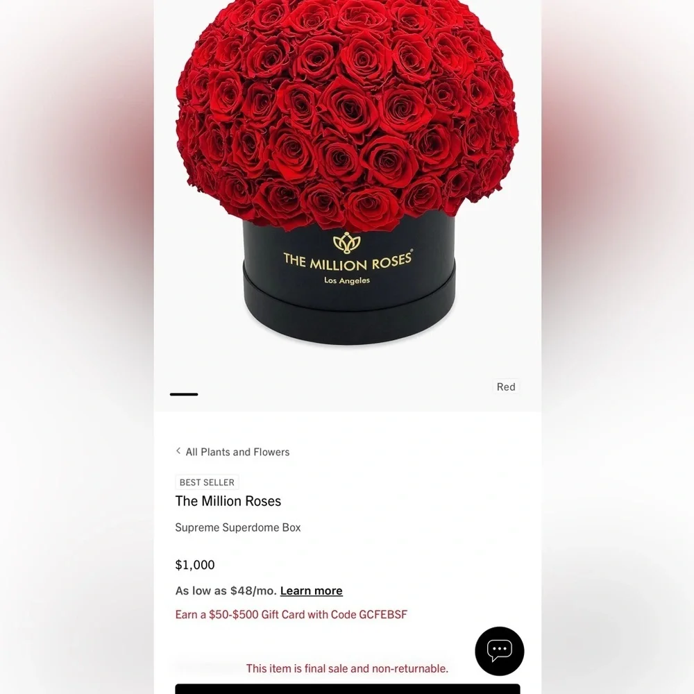 SUPREME BORDEAUX SUEDE SUPERDOME BOX | BURGUNDY ROSES